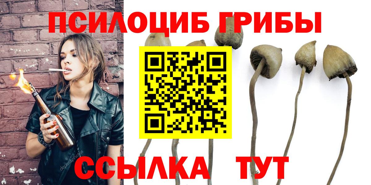 Дагестанские Огни  Псилоцибиновые грибы Psilocybe  Вход с VPN  Галлюциногенные грибы Magic Shrooms 
